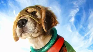 Задник к фильму "Пятерка супергероев" #439144