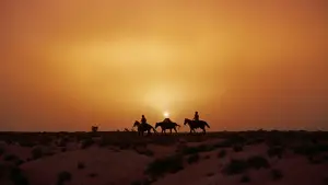 Задник к фильму "Искатели" #713484