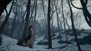 Задник к фильму "Выживший" #516926