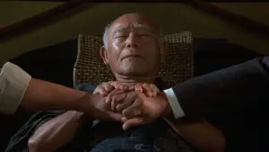 Задник к фильму "Парень-каратист 2" #670632