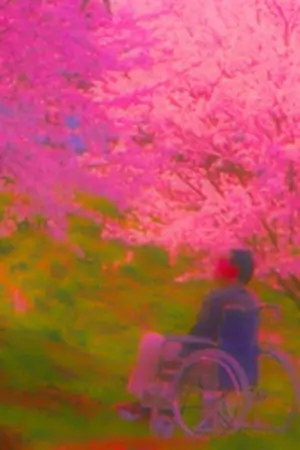 Постер к фильму "Фейерверк" #711012