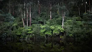 Задник к фильму "Город тайн: Исчезнувшая" #430482