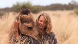 Задник к фильму "Тропы" #253913