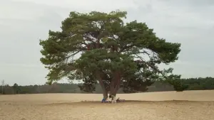 Задник к фильму "" #409873