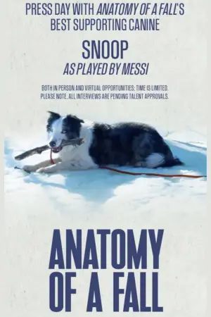 Постер к фильму "Анатомия падения" #193045