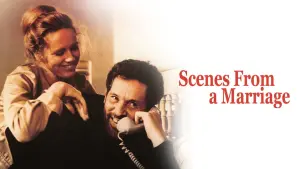 Сцены из супружеской жизни