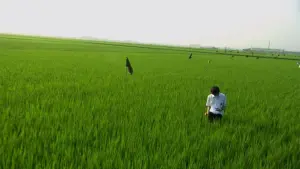 Задник к фильму "Всё о Лили Чоу-Чоу" #327359