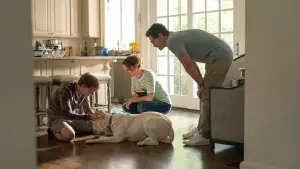 Задник к фильму "Пропала собака" #384464