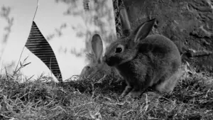 Задник к фильму "Изгои" #648875