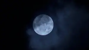 Задник к фильму "Хищник" #559781