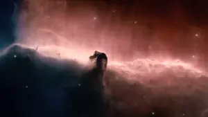 Задник к фильму "Древо жизни" #266188