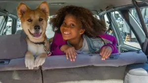 Задник к фильму "Энни" #444640