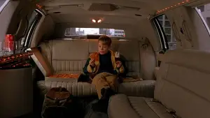 Задник к фильму "Один дома 2: Затерянный в Нью-Йорке" #567475