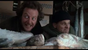 Задник к фильму "Один дома 2: Затерянный в Нью-Йорке" #566969