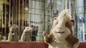 Задник к фильму "Миссия Дарвина" #337584