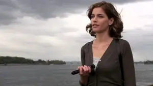 Задник к фильму "Девять ярдов" #454903