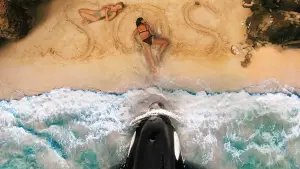 Задник к фильму "Кит-убийца" #509943