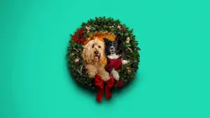 Задник к фильму "Happy Howlidays" #931397