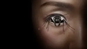 Задник к фильму "Демон контроля" #657818