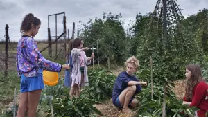 Задник к фильму "Чудеса" #461693