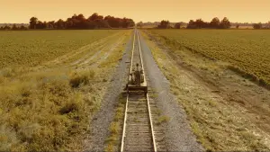 Задник к фильму "О, где же ты, брат?" #681435