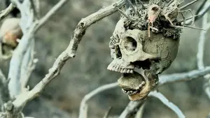 Задник к фильму "Костяной томагавк" #691645