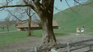 Задник к фильму "Шесть шведок в Альпах" #434113