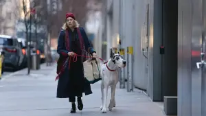 Задник к фильму "Верный друг" #589086