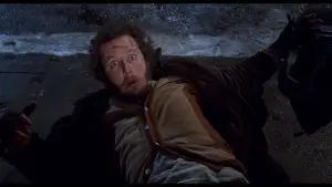 Задник к фильму "Один дома 2: Затерянный в Нью-Йорке" #567344