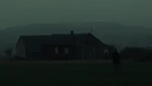 Задник к фильму "Три цвета: Белый" #705508