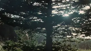 Задник к фильму "Умри, моя любовь" #513514