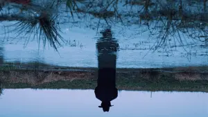 Задник к фильму "Короткая история" #443745