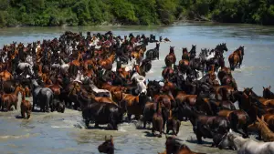 Задник к фильму "" #550803