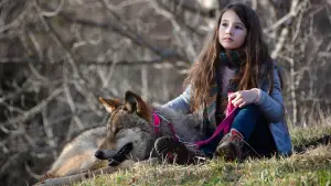 Задник к фильму "Мой волк" #237525