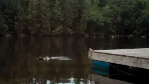 Задник к фильму "" #622176