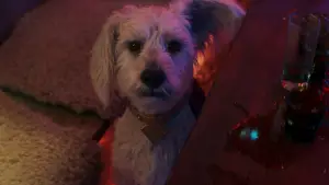 Задник к фильму "Супергёрл" #605160