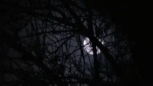 Задник к фильму "" #418207