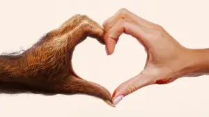 Задник к фильму "" #683836