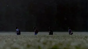 Задник к фильму "Останься со мной" #503528