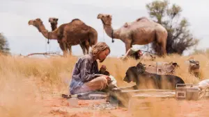 Задник к фильму "Тропы" #253907