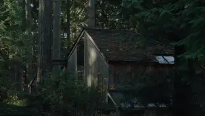 Задник к фильму "Крипер" #514452