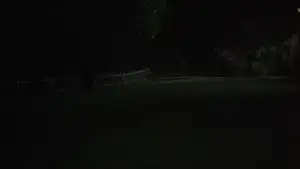 Задник к фильму "Фотоувеличение" #906589