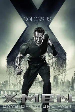Постер к фильму "Люди Икс: Дни минувшего будущего" #574384