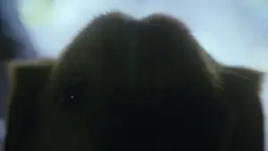 Задник к фильму "Хороший мальчик" #517227