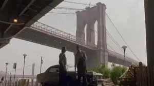 Задник к фильму "Буду смотреть все папки (50) Глава картеля" #499369