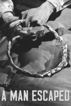 Постер к фильму "" #543073