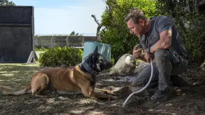 Задник к фильму "Клык 2: Город волков" #509951