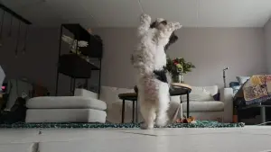 Задник к фильму "" #452441