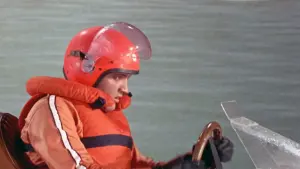 Задник к фильму "Пикничок" #498741