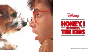 Задник к фильму "Дорогая, я уменьшил детей" #668523